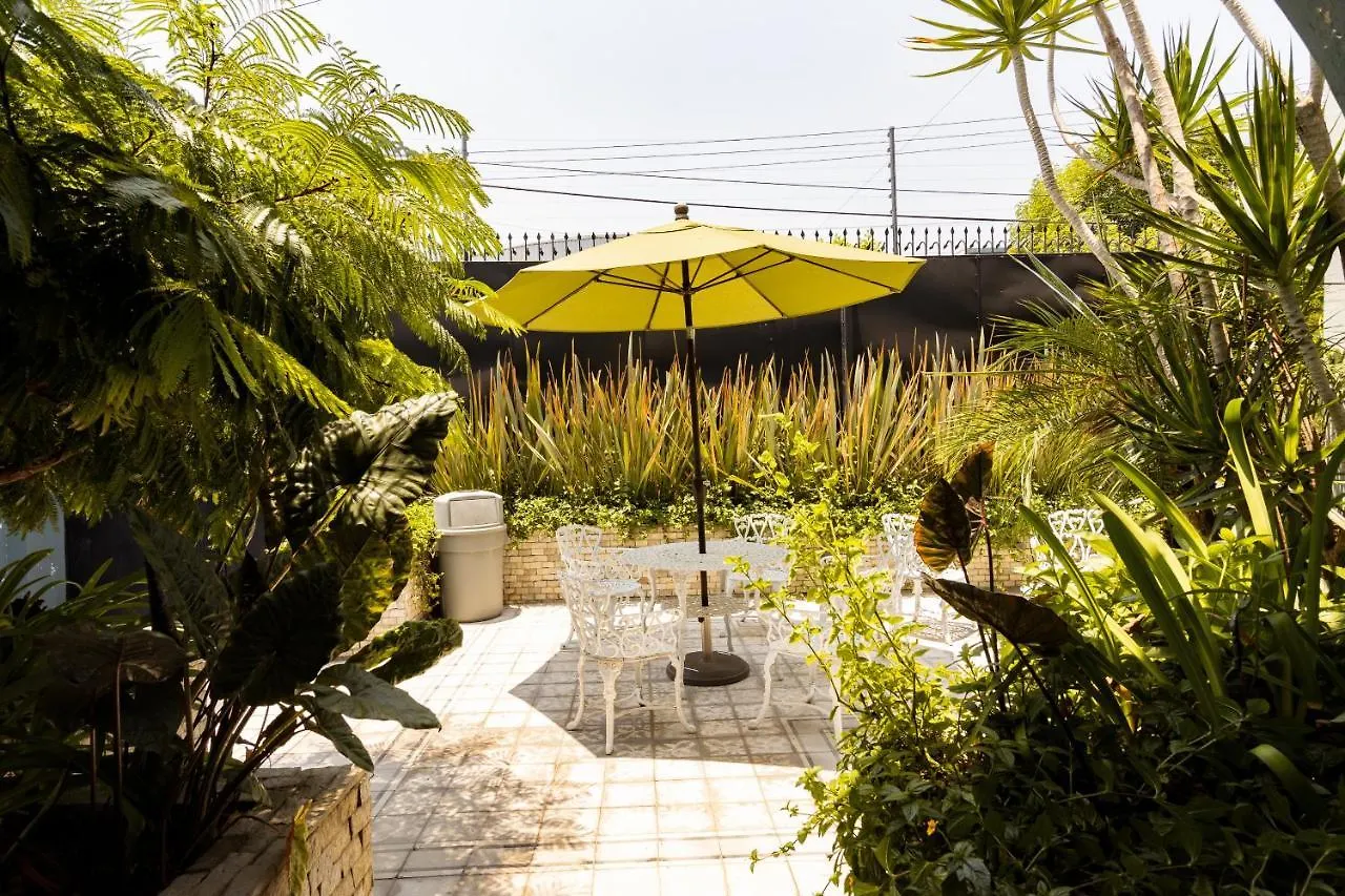 Casa Mateo Hotel Guadalajara Mexico